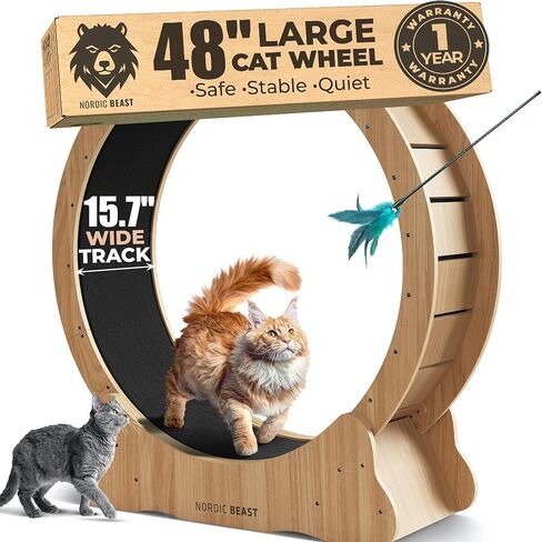48'' Golden XL Cat Wheel - Cat Wheels for Indoor Cats Which Doesn't Negatively Affect Your Cat's Spine – 15.7'' Extra Wide Cat Treadmill - Fits 2 Cats Side-by-Side, 1-Year Warranty in Kuwait