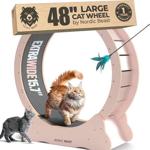 48'' Golden XL Cat Wheel - Cat Wheels for Indoor Cats Which Doesn't Negatively Affect Your Cat's Spine – 15.7'' Extra Wide Cat Treadmill - Fits 2 Cats Side-by-Side, 1-Year Warranty in Saudi Arabia