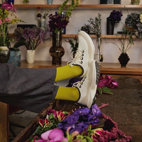 حذاء Allbirds الرجالي Tree Dasher 2 Utility، حذاء رياضي نشط جاهز للسير in Kuwait