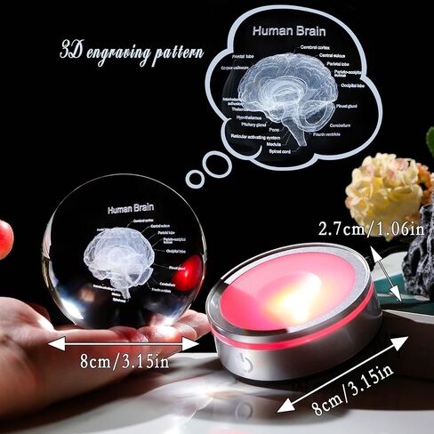 3D Human Brain 3.15 in. Crystal Ball Gifts for Him Her, Human Brain Anatomical Mini Model with Colorful Light Base for Neurologist Doctor Pharmacist, Physiology Graduation Gifts for Medical Students in Saudi Arabia