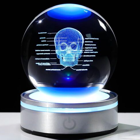 3D Human Brain 3.15 in. Crystal Ball Gifts for Him Her, Human Brain Anatomical Mini Model with Colorful Light Base for Neurologist Doctor Pharmacist, Physiology Graduation Gifts for Medical Students in Saudi Arabia