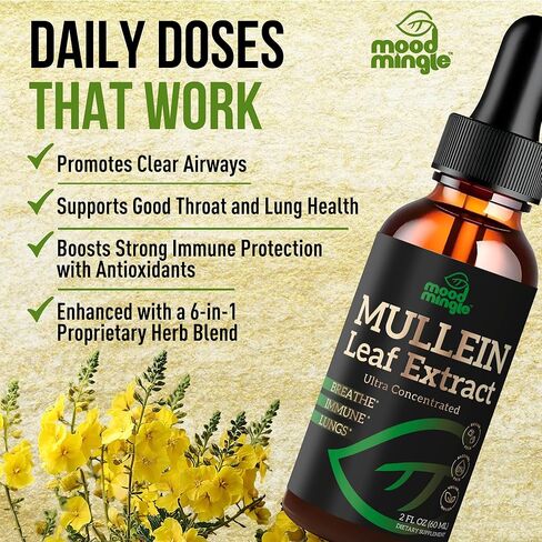 مستخلص أوراق مولين للرئتين - قطرات مولين لدعم صحة الجهاز التنفسي وتطهير الرئة من السموم - نباتي خالي من السكر وخالي من الغلوتين - مكمل سائل للرجال والنساء 2 أونصة سائلة. أوقية (60 مل) in Kuwait