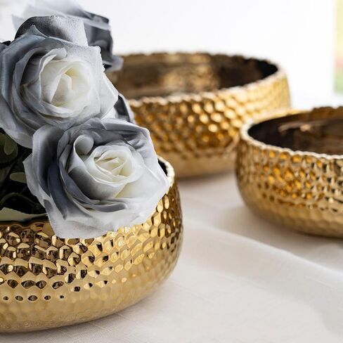 Modern Art Ceramic Bowl with Gold Accent - 9.84 Inch Wide 3.5 Inch High Large Capacity Bowl for Fruit, Salad, Serving, Decor - Elegant for Wedding, Hotel, Kitchen & Dining Table in Saudi Arabia