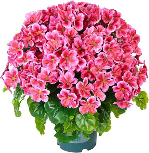 زهور إبرة الراعي الاصطناعية واقعية - 2 عبوة 18 بوصة من نباتات إبرة الراعي الصناعية بوعاء وردي غامق، زهور حرير مقاومة للأشعة فوق البنفسجية للديكور المنزلي في الشرفة الأمامية والداخلية في الهواء الطلق (2، أحمر) in Kuwait