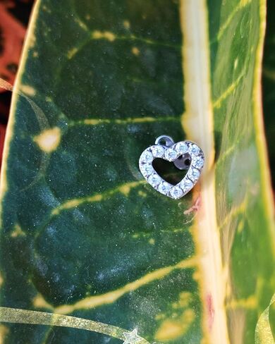 Titanium Dermal Piercings with Heart-Shaped Anchor Top Jewelry 14 Gauge 1 Piece in Saudi Arabia