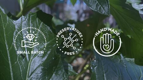 سهولة الهضم | قطرات عشبية عضوية 100% | شاي مركز ومستخلص | النعناع والأجوين والزنجبيل والمزيد | منشط الجهاز الهضمي الأيورفيدا من قبل المعالجين بالأعشاب مالك وخبير in Kuwait