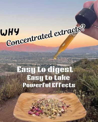 سهولة الهضم | قطرات عشبية عضوية 100% | شاي مركز ومستخلص | النعناع والأجوين والزنجبيل والمزيد | منشط الجهاز الهضمي الأيورفيدا من قبل المعالجين بالأعشاب مالك وخبير in Kuwait