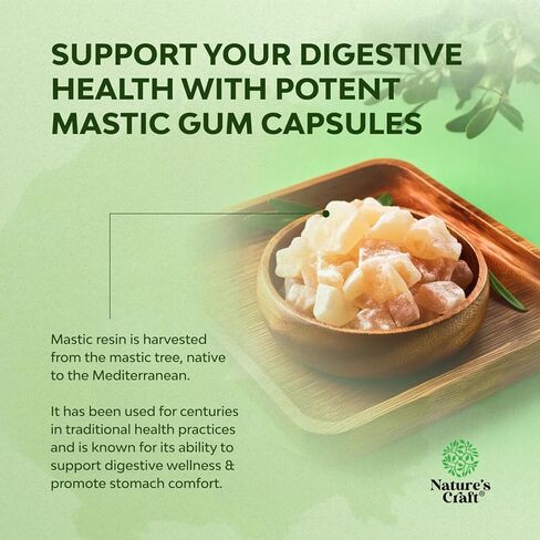 High Strength Mastic Gum Capsules - Herbal Digestion Supplement Providing Upset Stomach Relief for Adults - Vegan Non-GMO Gluten Free & Made in US GMP Facility - Gentle & Soothing (30 Servings) in Saudi Arabia