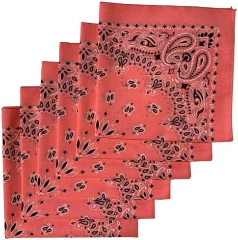 burlapfabric.com مجموعة متنوعة من 6 عبوات مصنوعة في الولايات المتحدة الأمريكية منديل بيزلي مقاس 22 بوصة 100% قطن in Kuwait