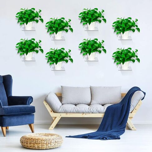 Acrylic Mini Floating Shelf, 16 Pack - Clear, Modern Wall Shelf for Office, Bedroom, Living Room - Mounted Storage for Pop Figures, Plants, Pictures in Saudi Arabia