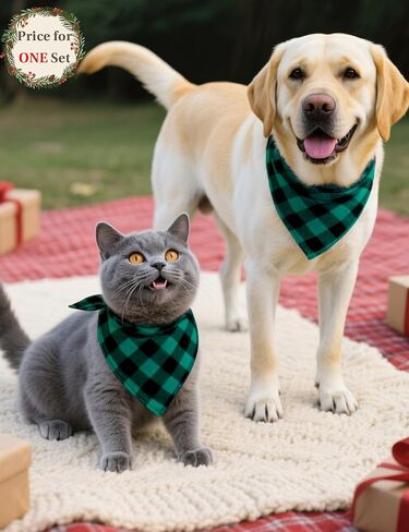 Christmas Family Matching Pajamas Set Couples Button Down Sleepwear Loungewear Long Sleeve Plaid Pjs Lounge Set in Saudi Arabia