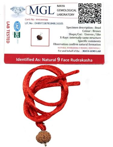 ASHIRWAD Original Nepali Certified Rudraksha Mala Natural Himalayan Genuine Rosary Tibetan Garland Necklace Bracelat for Wearing and Japa Mala 5 Mukhi Mala, 108 Beads Mala | AE000146-00 in Saudi Arabia