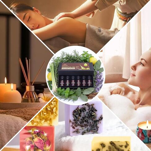 مجموعة الزيوت العطرية العطرية من أستيكا - نقية وطبيعية 100%، زجاجة 6 × 10 مل (اللافندر وعشب الليمون والأوكالبتوس وإكليل الجبل وخشب الصندل والنعناع) in Saudi Arabia