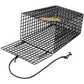 Beau-Mac's Bait Cage for Crab Trap, Green, BEAU19101