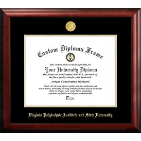 Campus Images VA999GED Virginia Tech Embossed Diploma Frame, 13.5" x 15.5", Gold