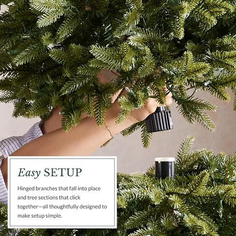 Balsam Hill 6.5ft Berkshire Mountain Fir - شجرة عيد الميلاد الاصطناعية الرفيعة غير المضاءة وحامل ممتاز للمساحات المتوسطة in Saudi Arabia