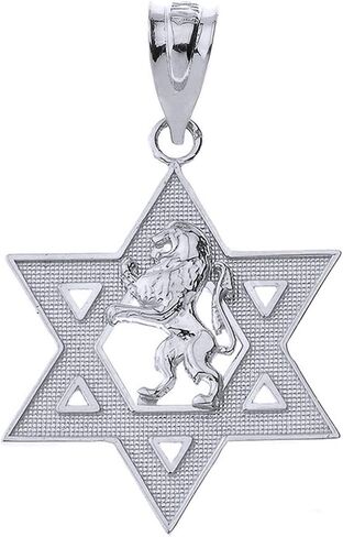 Certified 10k Gold Israel Lion of Judah Magen David Star Hebrew Pendant in Saudi Arabia