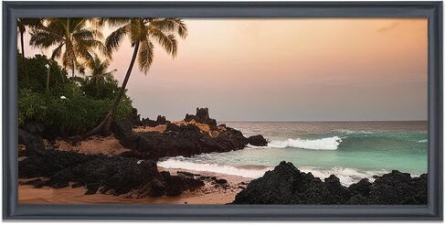 إطار صورة بانورامي مقاس 14 × 36 من الخشب الصلب الأسود مقاس 14 × 36 بوصة إطار صورة إطار اللوحة مقاس 14 × 36 بوصة إطار ملصق (S23B1436) in Saudi Arabia