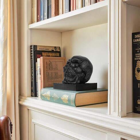 Skull Book Ends, Decorative Bookends for Shelves, Antique Gothic Style Skull Bookend Design Resin Skeleton Human Head Statue Halloween Décor (Black) in Saudi Arabia