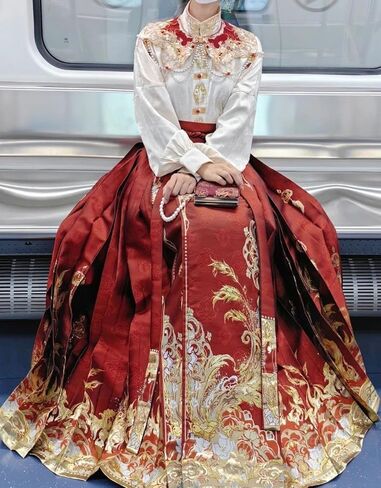 Women's Horse Face Skirt Pleated Tie Up A-Line Long Printing Skirt Costume Ming Dynasty Chinese Traditional Hanfu in Saudi Arabia