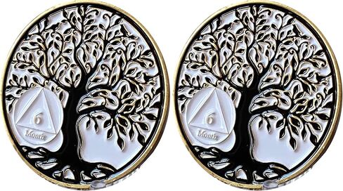 RecoveryChip 6 Month AA Medallion Tree of Life Serenity Prayer Medallion Coin in Kuwait
