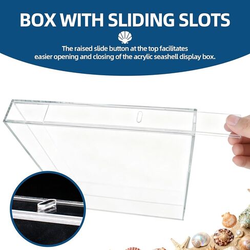 صندوق عرض صدف أكريليك مقاس 8.8 × 11.4 بوصة، حامل صدفة البحر على الحائط، إطار صندوق ظل أكريليك للأصداف، حافظة عرض عائمة ثلاثية الأبعاد، شفاف in Kuwait