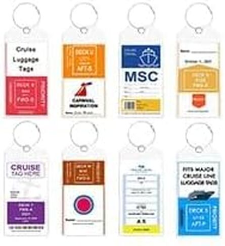 NTONPOWER 6 Pack Cruise Luggage Tags, Cruise Lanyard for Carnival, NCL, Princess, MSC Cruise Ships, Clear Plastic Luggage Tags with Zip Seal and Steel Loops, Cruise Essentials for 2023-2024 in Kuwait