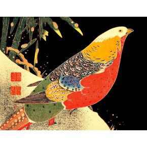 Golden Pheasant In The Snow 8.5x11" Photo Print Japanese Bird Art Ito Jakuchu in Saudi Arabia