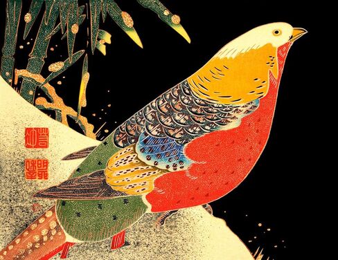 Golden Pheasant In The Snow 8.5x11" Photo Print Japanese Bird Art Ito Jakuchu in Saudi Arabia