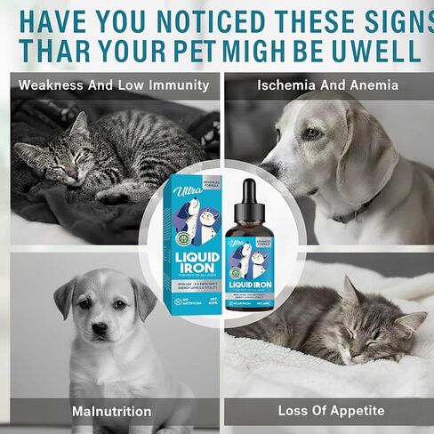 مكملات الحديد السائل للقطط والكلاب، 60 مل من الحديد السائل يدعم خلايا الدم الحمراء الصحية ومستويات الطاقة، مع فيتامين C وB12، يدعم فقر الدم لدى الحيوانات الأليفة، تركيبة طبيعية آمنة، سريع الامتصاص in Kuwait