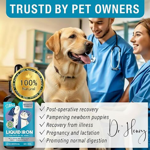 مكملات الحديد السائل للقطط والكلاب، 60 مل من الحديد السائل يدعم خلايا الدم الحمراء الصحية ومستويات الطاقة، مع فيتامين C وB12، يدعم فقر الدم لدى الحيوانات الأليفة، تركيبة طبيعية آمنة، سريع الامتصاص in Kuwait