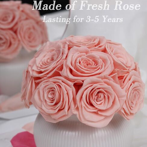 Preserved Roses,Weeding Flowers,Table Centerpiece Flowers14Pcs Long Lasting Real Rose in Ceramic Vase,Table Flowers for Party,Wedding Decor,Birthday,Anniversary,Wedding Gifts for Her(Peach Pink) in Saudi Arabia