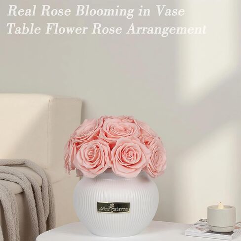 Preserved Roses,Weeding Flowers,Table Centerpiece Flowers14Pcs Long Lasting Real Rose in Ceramic Vase,Table Flowers for Party,Wedding Decor,Birthday,Anniversary,Wedding Gifts for Her(Peach Pink) in Saudi Arabia