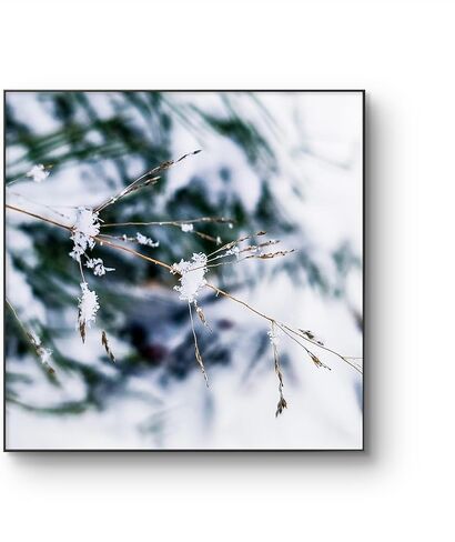 The Virtue of God–Authentic Nature Macro Photography Print–Winter Frozen Snowy Grass–Square Unframed Canvas Modern Wall Art-Home or Office Wall Decor-Winter Season Gift (10 x 10) in Saudi Arabia