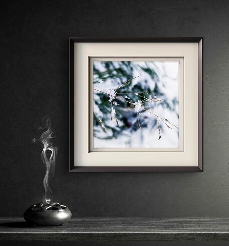 The Virtue of God–Authentic Nature Macro Photography Print–Winter Frozen Snowy Grass–Square Unframed Canvas Modern Wall Art-Home or Office Wall Decor-Winter Season Gift (10 x 10) in Saudi Arabia