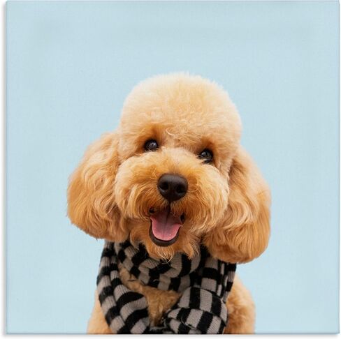 Stupell Industries Pet Personalized Custom Print Square Canvas Wall Art in Saudi Arabia