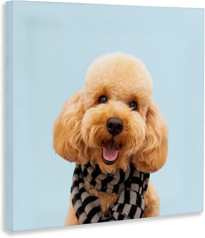 Stupell Industries Pet Personalized Custom Print Square Canvas Wall Art in Saudi Arabia
