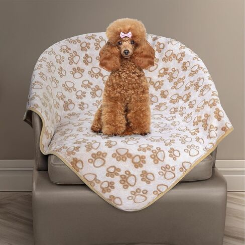 Stuffed® Premium Soft Dog Blanket Washable, 40"x32" Cat Blanket for Indoor Cats Large Medium Small Dog Gifts Puppy Essentials (Grey) in Saudi Arabia