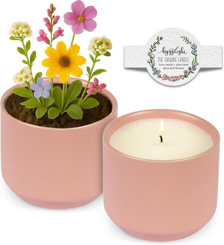 Hyggelight - The Growing Candle, Sandalwood & Vanilla Scented, 8.5oz Ceramic Pot, Aromatherapy Candles for Home, 100% Soy, Edith in Saudi Arabia