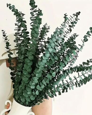 10 PCS Preserved Eucalyptus Stems, 12 Inches Natural Artificial Flower Bouquet for Home Decor/Floral Arrangements/Weddings/Spa Showers, Artificial Eucalyptus, Green in Saudi Arabia