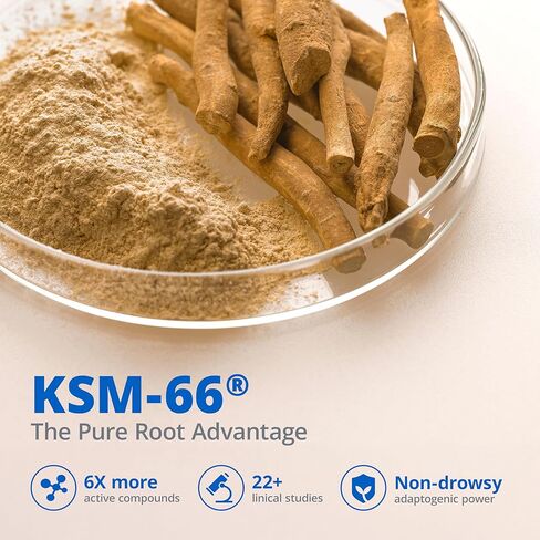 KSM-66 مكملات اشواغاندا | مستخلص جذور أشواغاندا للنساء والرجال | مجمع Adaptogen 10 في 1 لمدير الكورتيزول والإجهاد والطاقة ودعم المناعة | 60 كبسولة نباتية in Kuwait