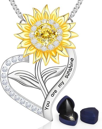 قلادة Tetragrammaton الخماسية 925 من الفضة الاسترليني قلادة على شكل نجمة خماسية هدايا مجوهرات للنساء والرجال in Kuwait