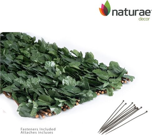 Naturae Decor تعريشة الصفصاف القابلة للتوسيع - شاشة خصوصية خارجية - قوية ومرنة - مظهر واقعي - 36 بوصة × 72 بوصة - أوراق اللبلاب in Kuwait