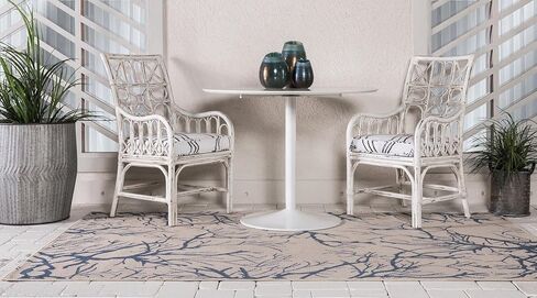 Rugs.com سجادة مجموعة نباتات خارجية - سجادة مسطحة باللونين البيج والأزرق مقاس 6 × 9 بوصة مثالية لغرف النوم وغرف الطعام وغرف المعيشة in Saudi Arabia