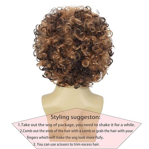 Disco Wig 5Pcs Set (Wig+ Glasses+ Necklace+ Mustache+ Wig Cap) 70'S Costumes Wig Afro Wig Men Short Curly Natural Fluffy Synthetic hair Wig for Halloween Disco Party (Style-B) in Saudi Arabia
