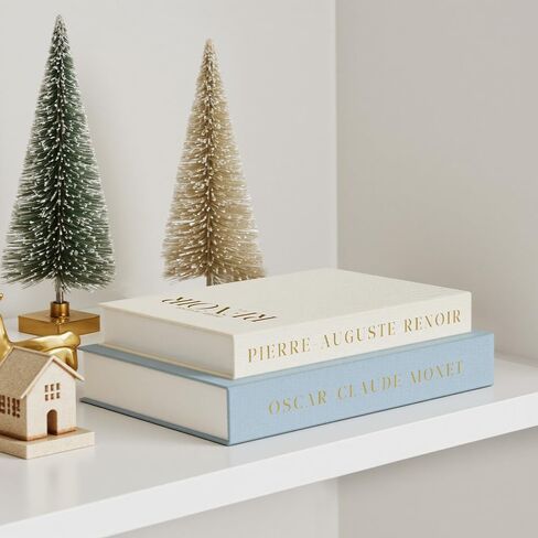 Aesthetic Decorative Books - Set of 2 Linen Fake/Faux Books Enhance Your Bookshelf, Coffee Table, Living Room, Bedside Table or Mantle, Stackable Modern Home Decor, Photo Storage and as a Keepsake Box in Saudi Arabia