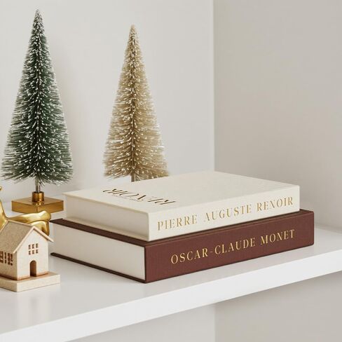 Aesthetic Decorative Books - Set of 2 Linen Fake/Faux Books Enhance Your Bookshelf, Coffee Table, Living Room, Bedside Table or Mantle, Stackable Modern Home Decor, Photo Storage and as a Keepsake Box in Saudi Arabia