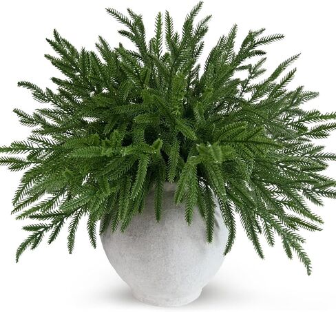 12 قطعة من فروع صنوبر نورفولك ذات اللمس الحقيقي زينة عيد الميلاد، 45.72 سم خضرة عيد الميلاد يختار نباتات صناعية سيقان صنوبر نورفولك ديكور منزلي لمزهرية DIY إكليل إكليل ديكور شتوي دائم الخضرة in Kuwait