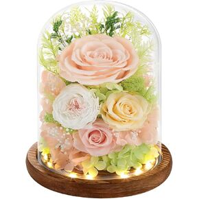 Forever Preserved Real Flowers for Delivery Prime, Eternal Fresh Roses in Glass Dome with LED Lights, Mothers Day Gifts for Mom, Her, Wife, Grandma, Daughter, Women, Girlfriend, Birthday, Red in Kuwait