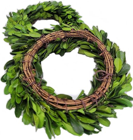 إكليل صغير - خشب البقس المحفوظ مقاس 15.24 سم، تركيب على الحائط والباب، وضع الطاولة، حلقة الشمعة in Kuwait